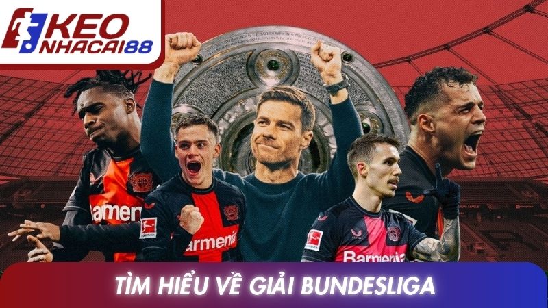 Bundesliga 11 Tìm hiểu về giải Bundesliga