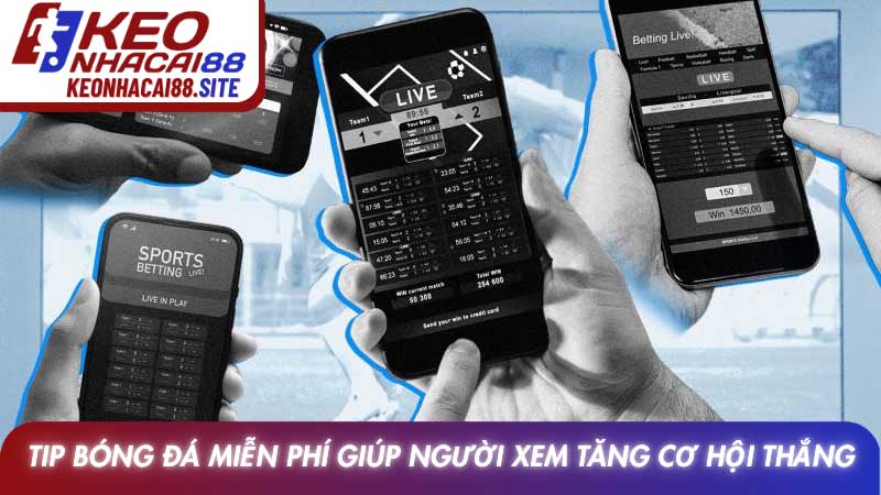 Tip bóng đá miễn phí và phương pháp soi kèo hiệu quả nhất 2 Tip bóng đá miễn phí giúp người xem tăng cơ hội thắng